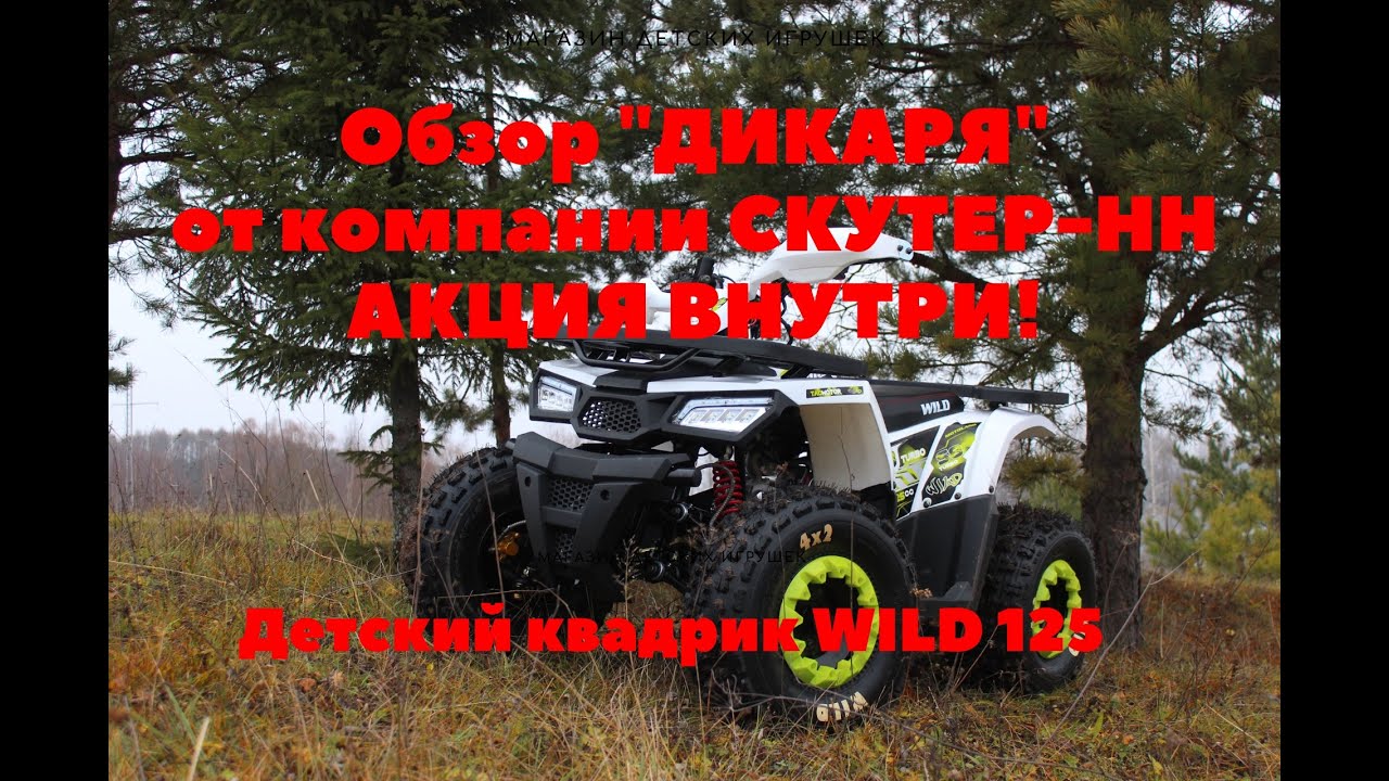 Обзор детского квадроцикла WILD 125 и WILD 150 от компании Скутер-НН