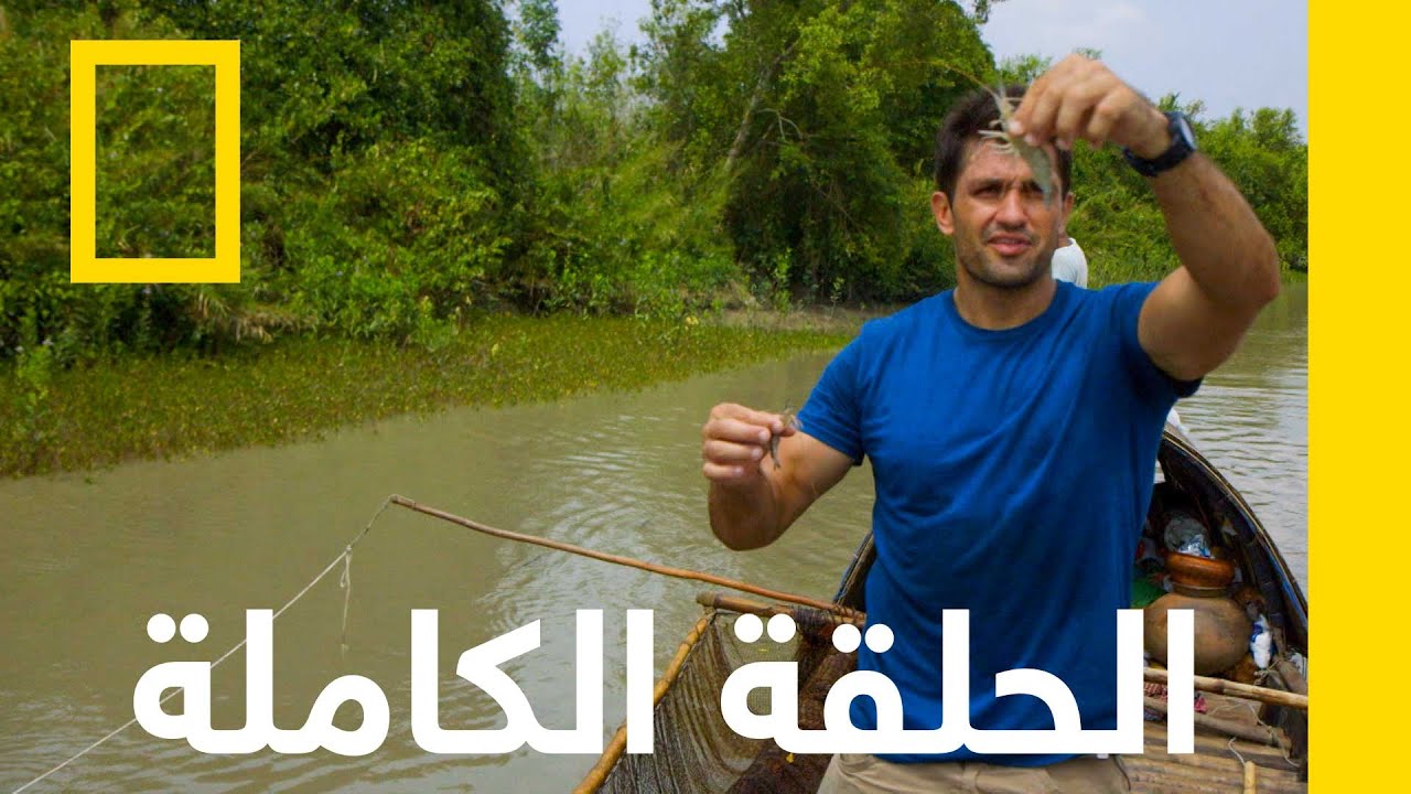 بنغلاديش | الطاه المغامر | ناشونال جيوغرافيك أبوظبي