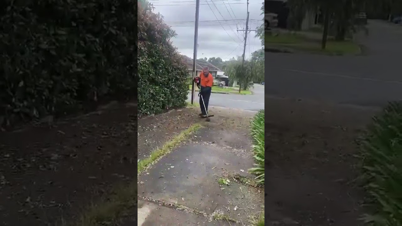 GARDEN CLEAN UP with the Brush Cutter I repaired ! 💚
