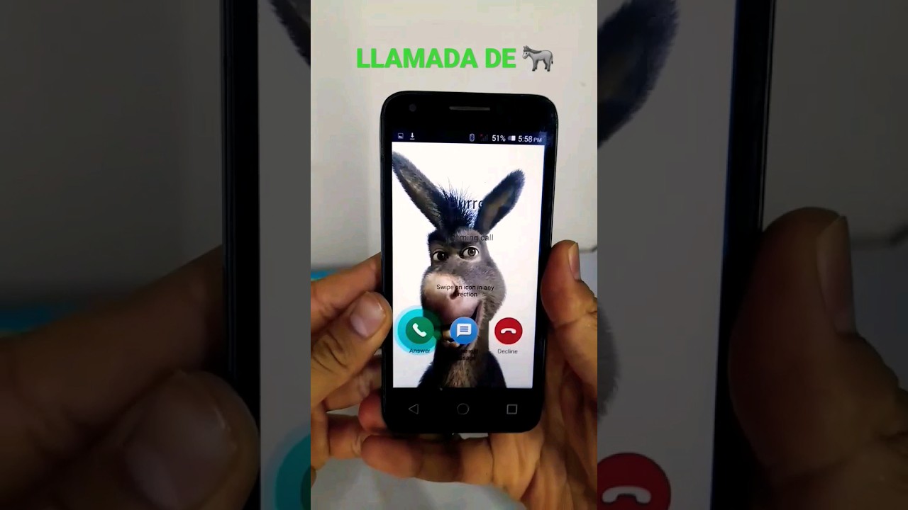 burro de Shrek me habla por llamada #shorts