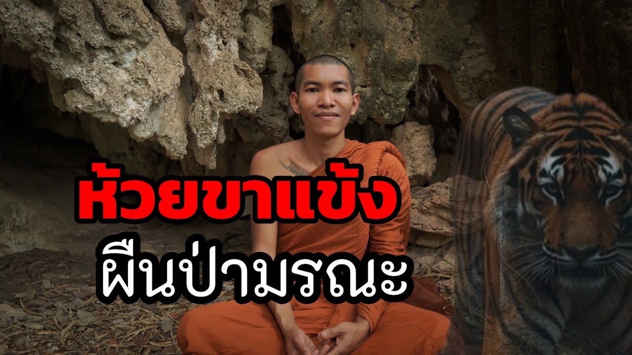ห้วยขาแข้ง ผืนป่ามรณะสุดอันตราย มีหลายอย่างที่คุณไม่เคยรู้ ต้องระวังตัวจากสัตว์ป่าทุกชนิด