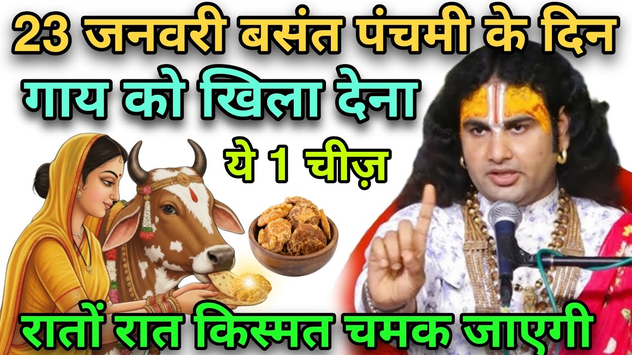 23 January 2026 बसंत पंचमी के दिन गाय को खिला देना यह 1 गुप्त चीज रातों रात किस्मत चमक जाएगी#upay 