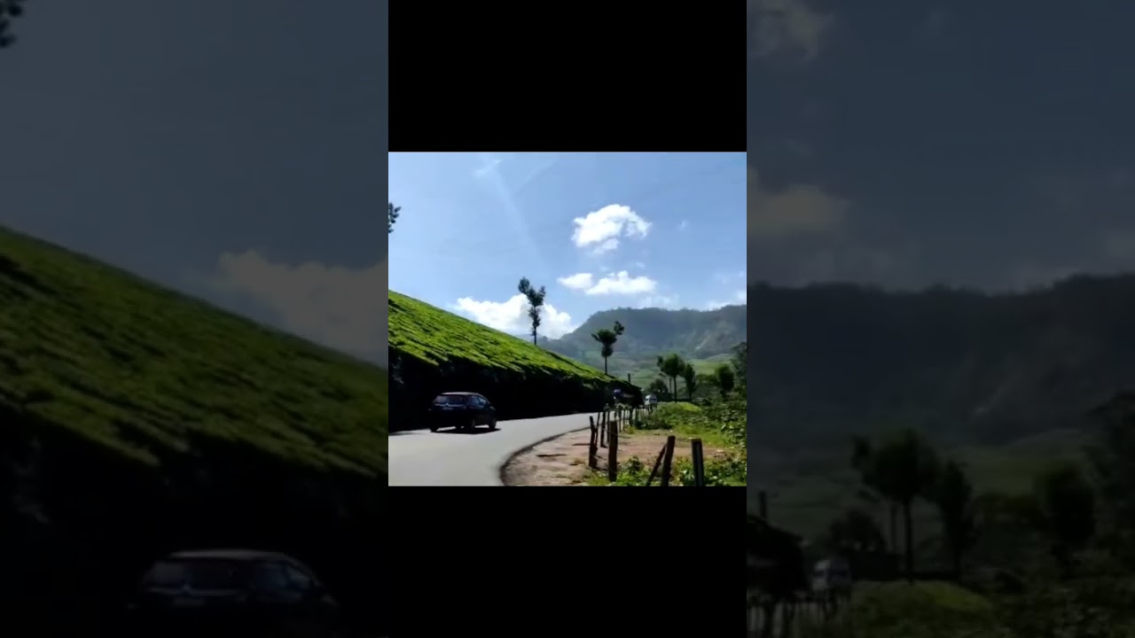 Munnar Tea Plantation| Tea Estates Munnar #nature