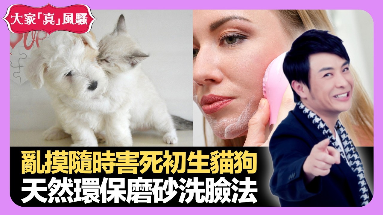 郁達夫傳奇電影欺騙思浩? 切忌摸初生貓狗 天然環保磨砂洗臉法 - LIVE 大家真瘋Show 梁思浩 韓君婷 李思蓓 20210924 娛樂審死官 4K