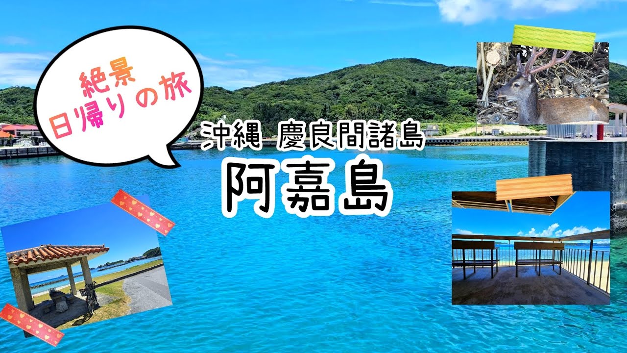 【一人旅】〈絶景〉那覇から日帰りで離島・阿嘉島へ