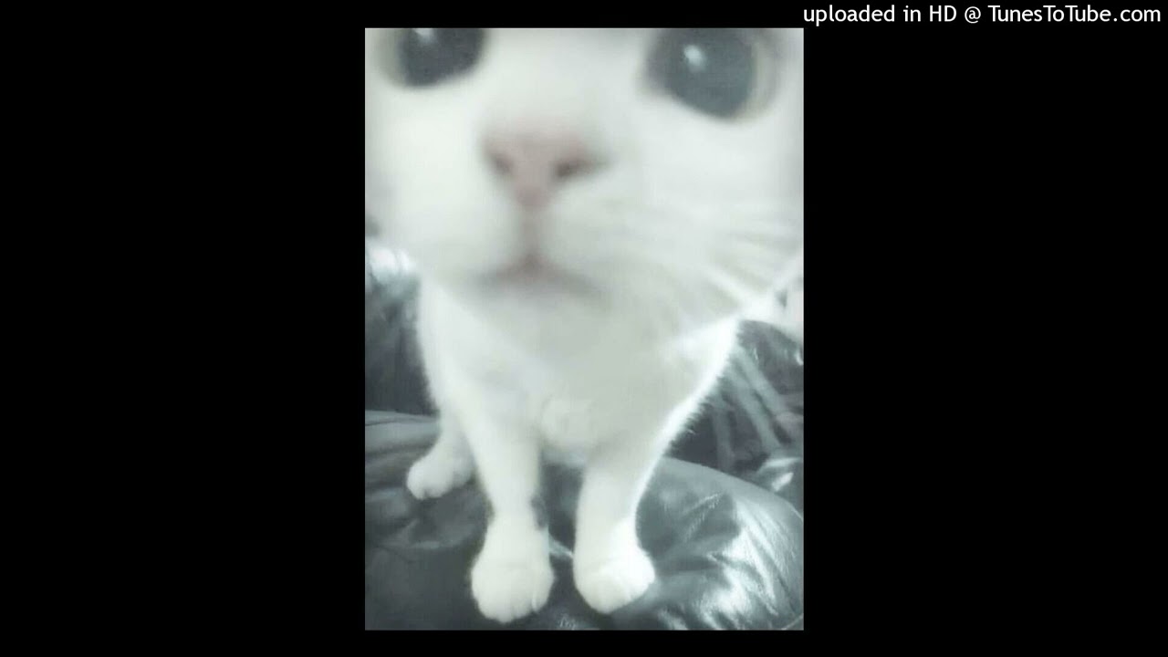 *free* maknae x kiryano x 7serene type beat 