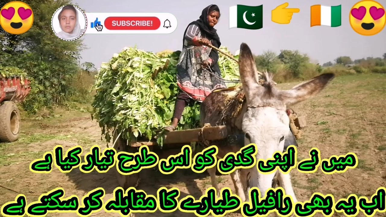اب ہم نے بھی اپنی گدی کو اس طرح تیار کیا ہے اب یہ بھی بھارتی رافیل کا مقابلہ کر سکتی ہے🙅‍♀️