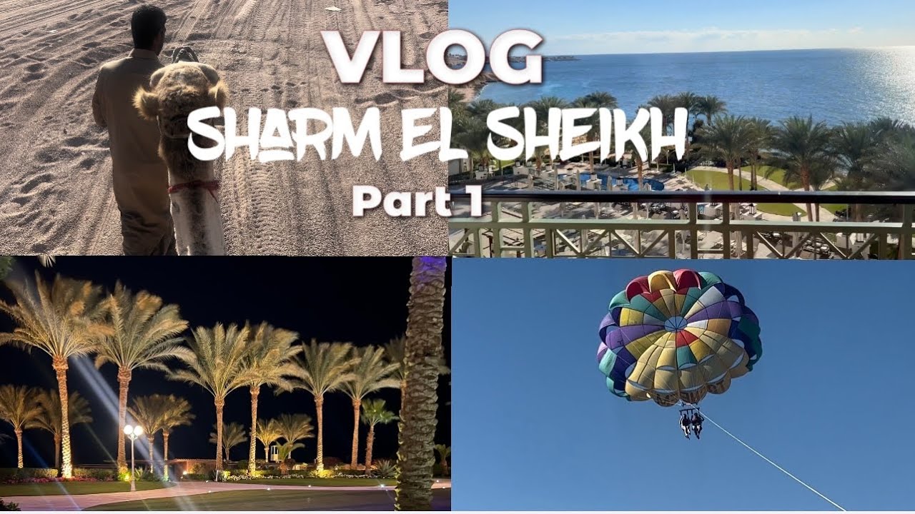 VLOG | Egypt 2023 | Solo Trip to Sharm El Sheikh | Day In Cairo | Stella Di Mare Resort Hotel