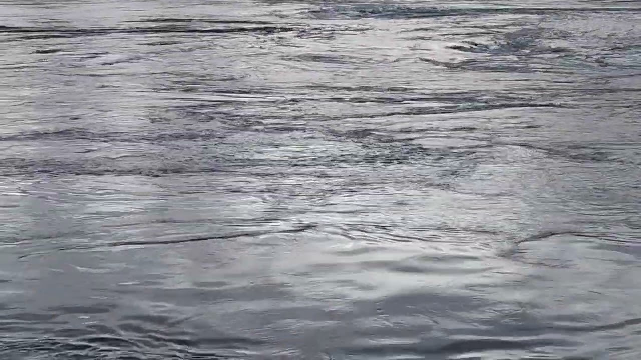 Saltstraumen Maelstrom