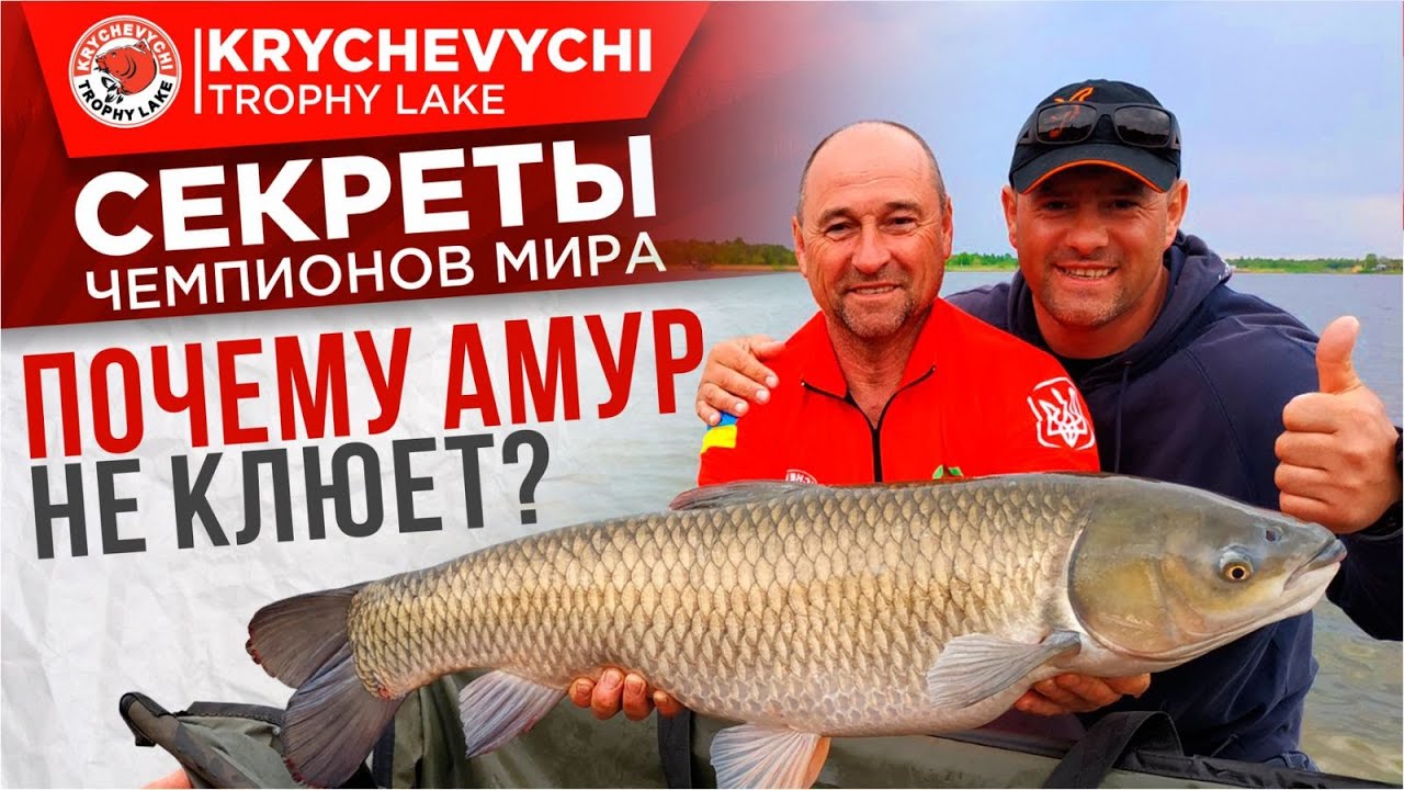 Почему амур НЕ КЛЮЕТ!