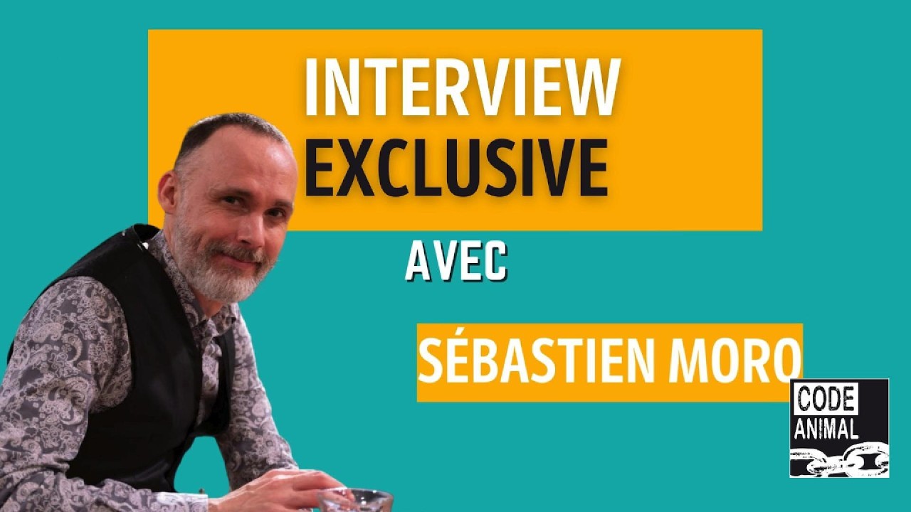 Comment les animaux perçoivent-ils le monde ?  Discussion avec Sébastien Moro  #animaux #éthologie