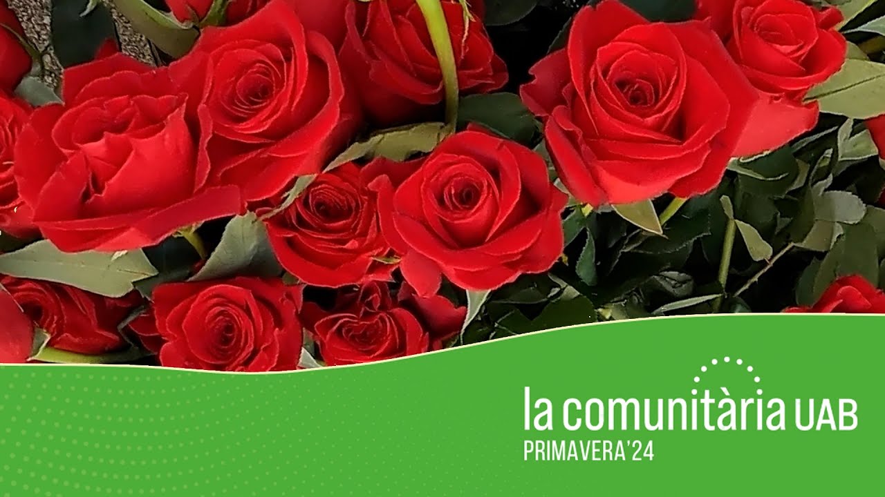 La Comunitària UAB de Primavera 2024. La celebració oficial de la Universitat Autònoma de Barcelona.