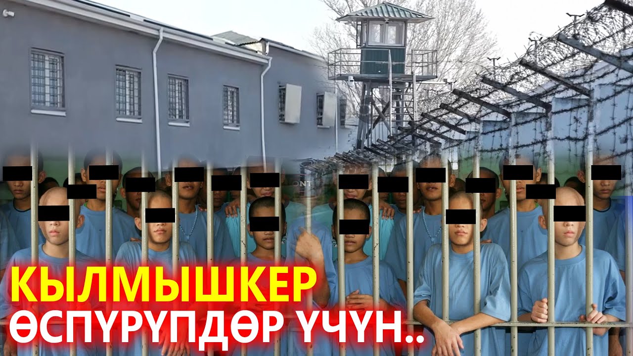 Кылмышкер өспүрүмдөр эми ушул жерде тарбияланат