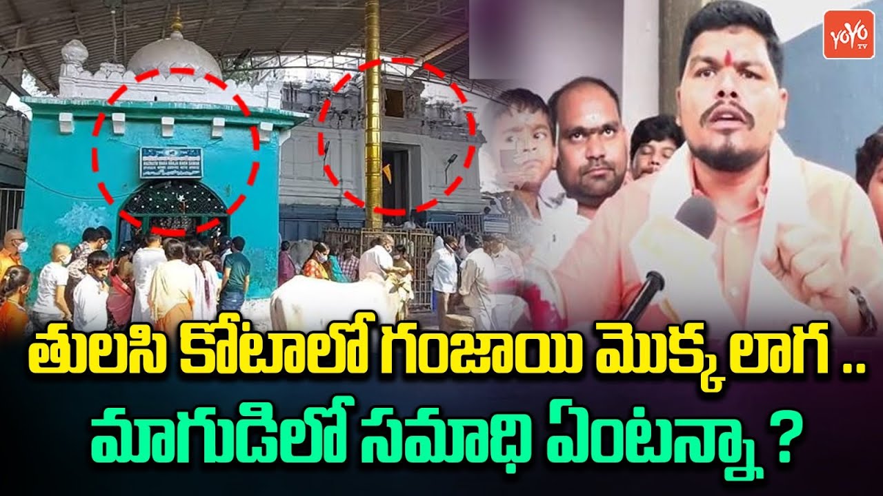 మాగుడిలో సమాధి ఏంటన్నా..| Vemulawada Rajanna Temple || YOYO TV News