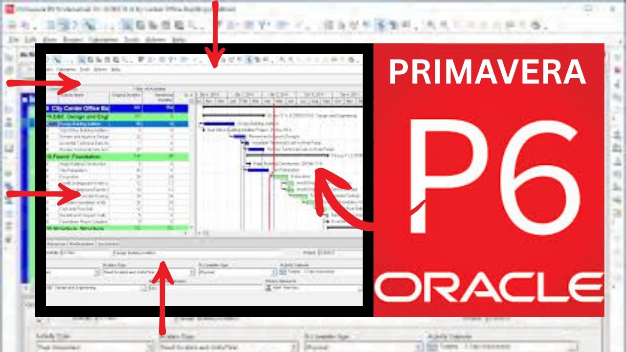 Comment démarrer avec Primavera P6 facilement ?