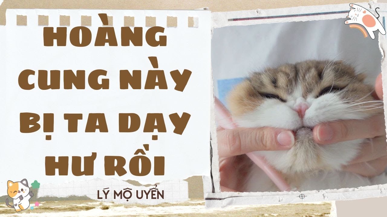 Truyện audio - [FULL] HOÀNG CUNG NÀY BỊ TA DẠY HƯ RỒI - [LÝ MỘ UYỂN]