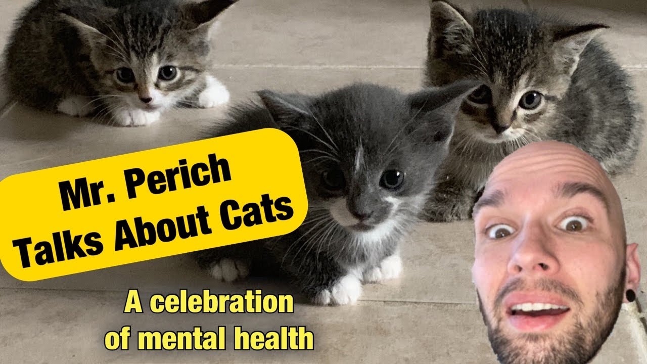 Mr. Perich Talks About Cats: A Celebration of Mental Health (Lecture 2)