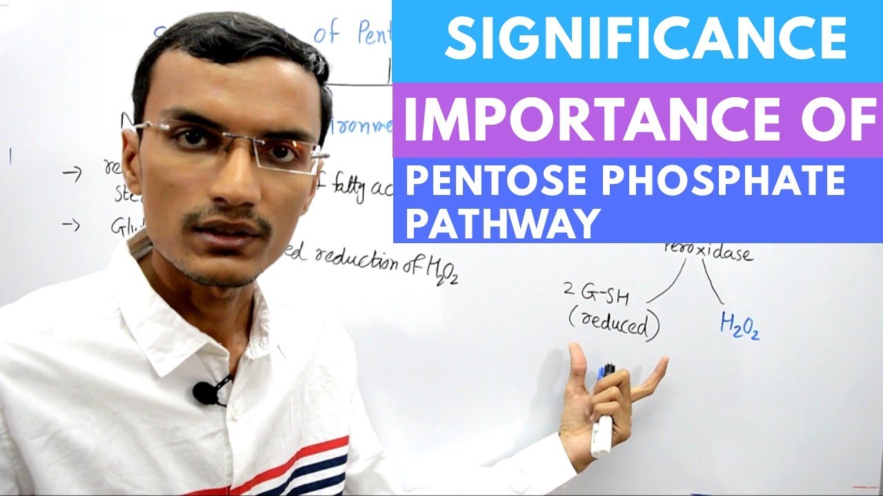 Significance & Importance of Pentose Phosphate Pathway | HMP Shunt