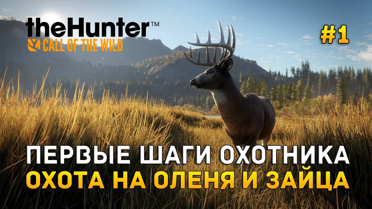 theHunter: Call of the Wild #1 - Первые шаги охотника. Охота на оленя и зайца (Первый Взгляд)