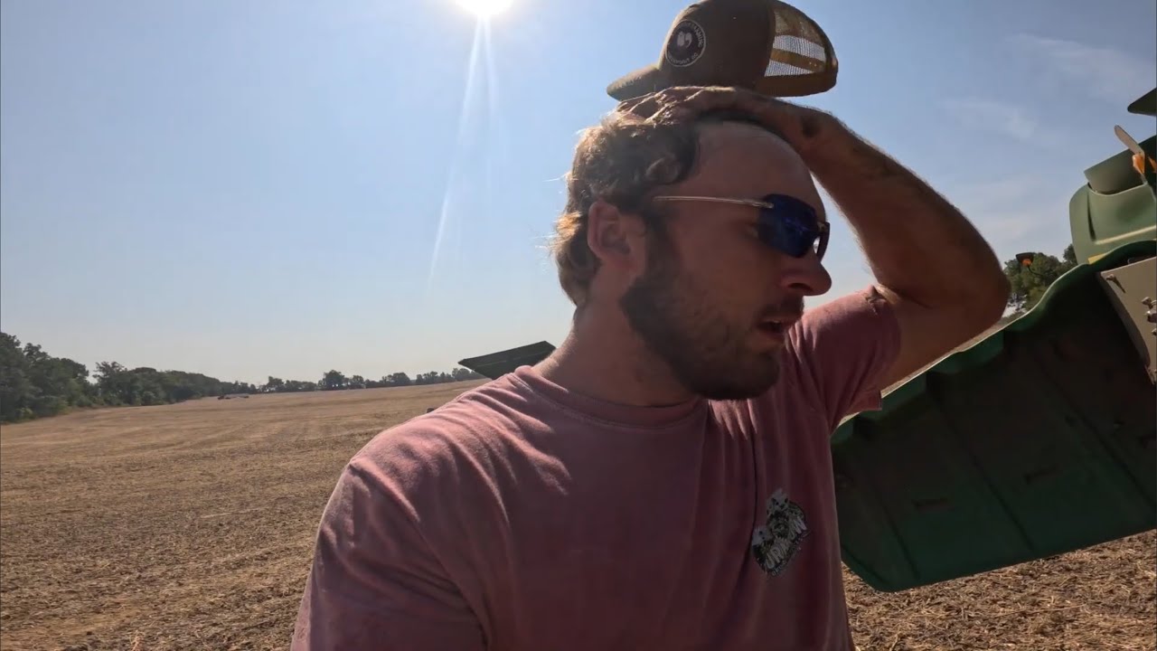 The struggles of farming…