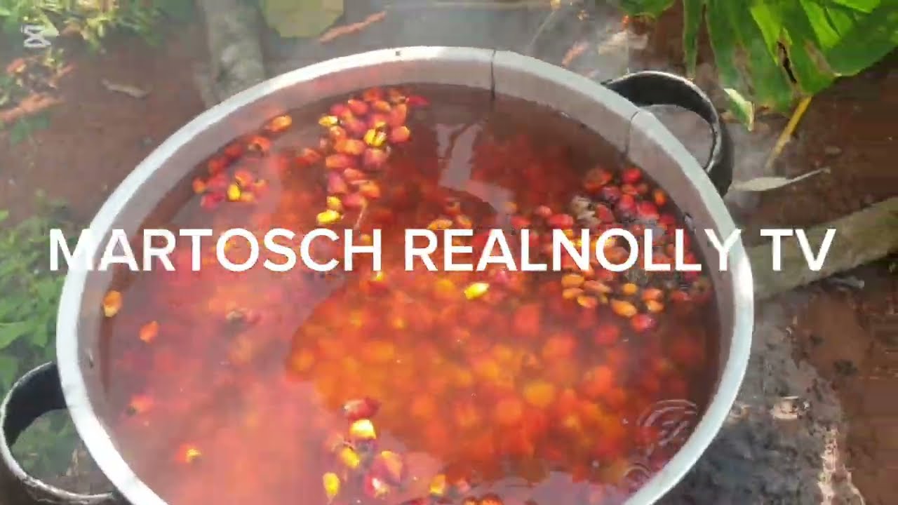 ПРЕИМУЩЕСТВА ПАЛЬМОВЫХ ПЛОДОВ