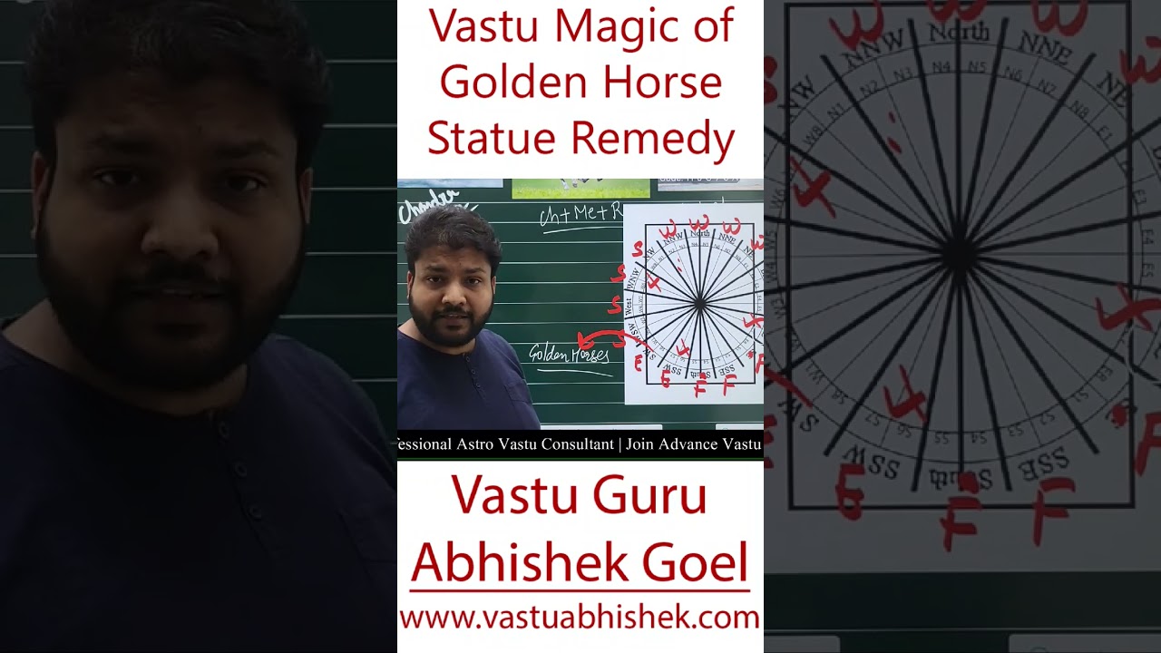 Magical Vastu Remedy of Golden Horse Gives You More Clients