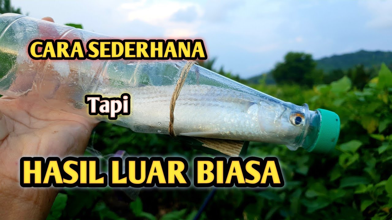 Cara mancing belanak menggunakan botol