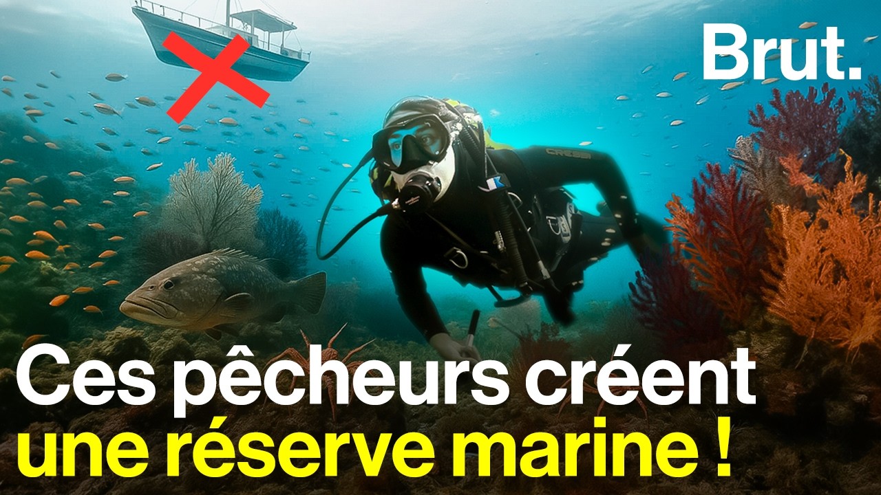 Ils ont décidé de s'auto-interdire de pêcher pour préserver les poissons de la Méditerranée