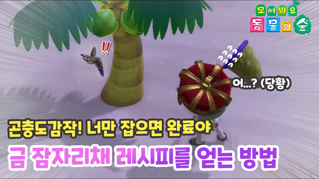 [모동숲] 곤충도감 전체 완료!? 황금이를 분명 잡았었는데 놓쳤습니다