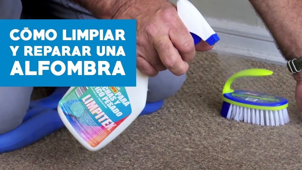 ¿Cómo limpiar y reparar una alfombra muro a muro?