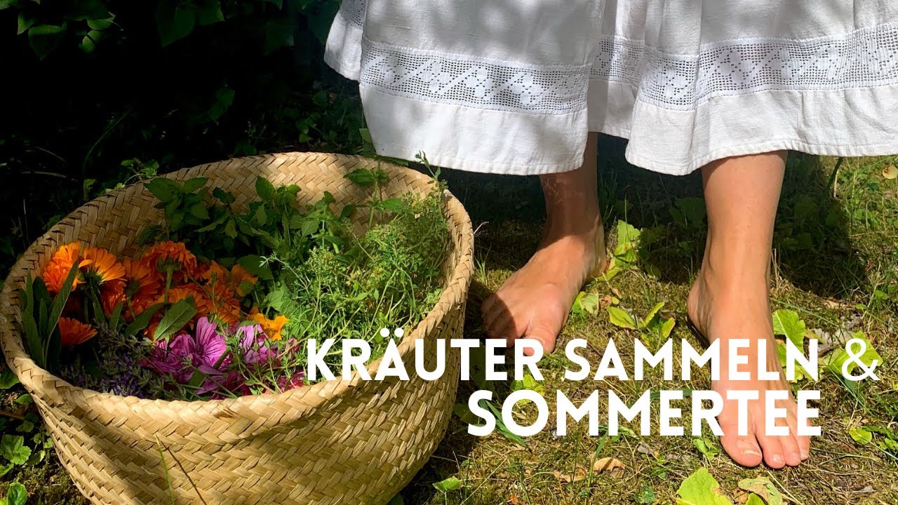 Kräuter sammeln und Sommertee | Tipps zum Sammeln und Trocknen | Ein Tag im Garten