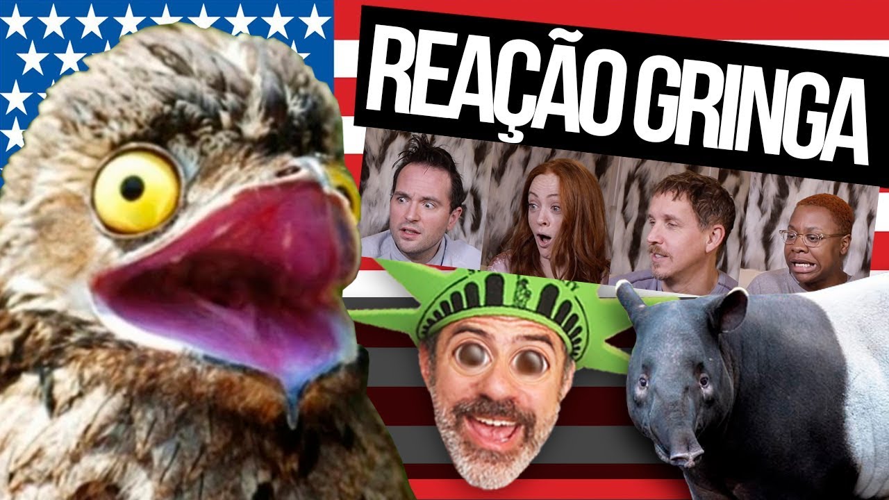 GRINGOS REAGEM A MAIS ANIMAIS BRASILEIROS