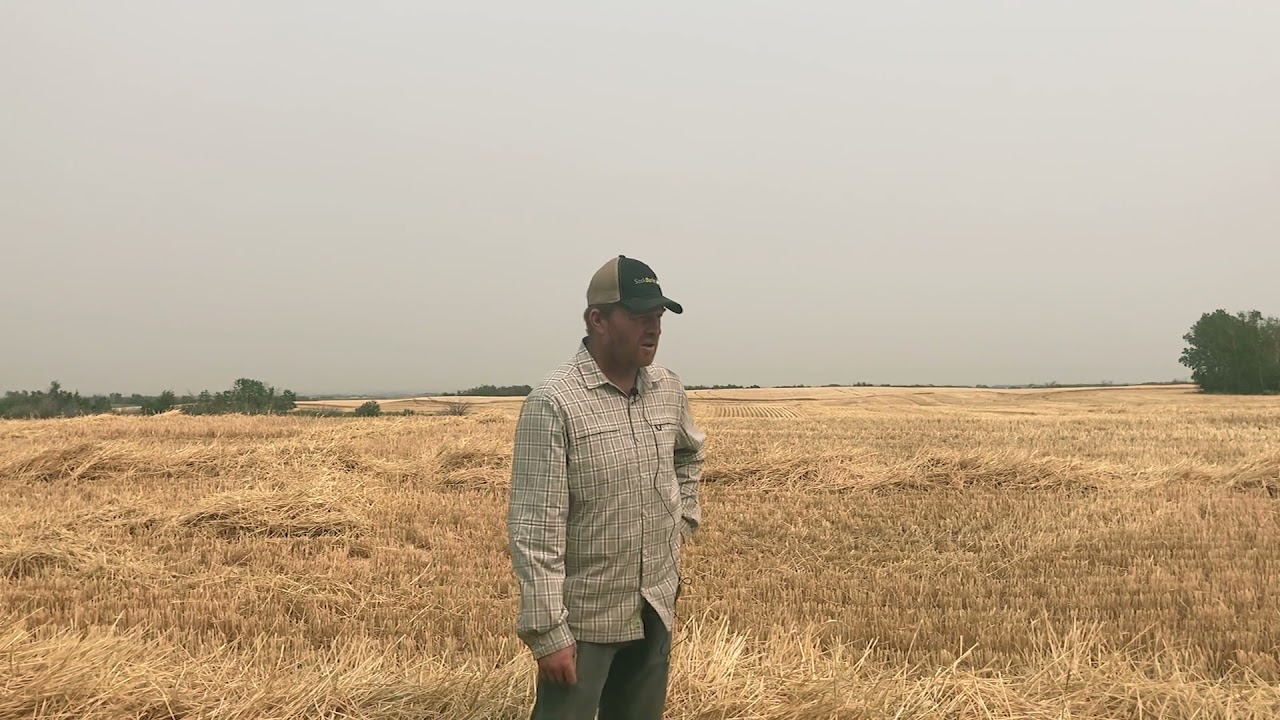 Leaving Stubble On Your Fields After Harvest