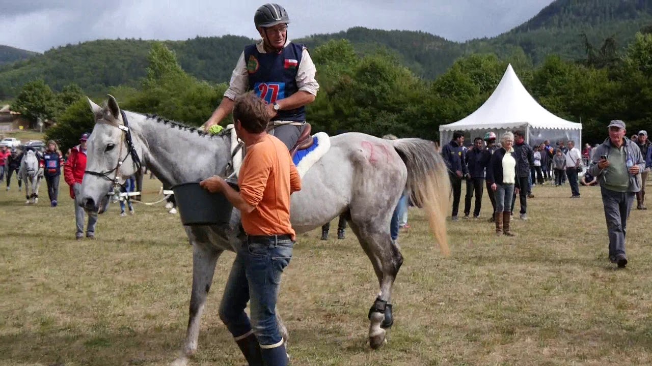 Florac 2017 : Daniel et Yvon Ollivier