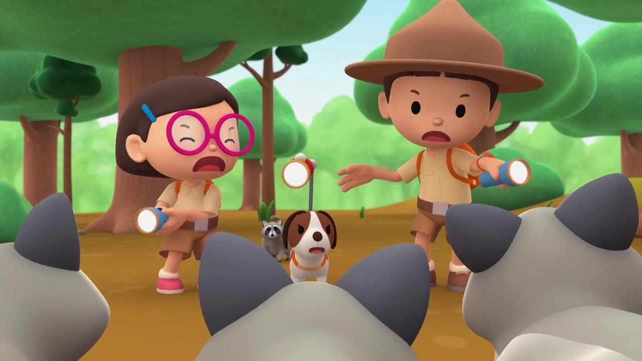 Raccoon - Leo the Wildlife Ranger Minisode #135