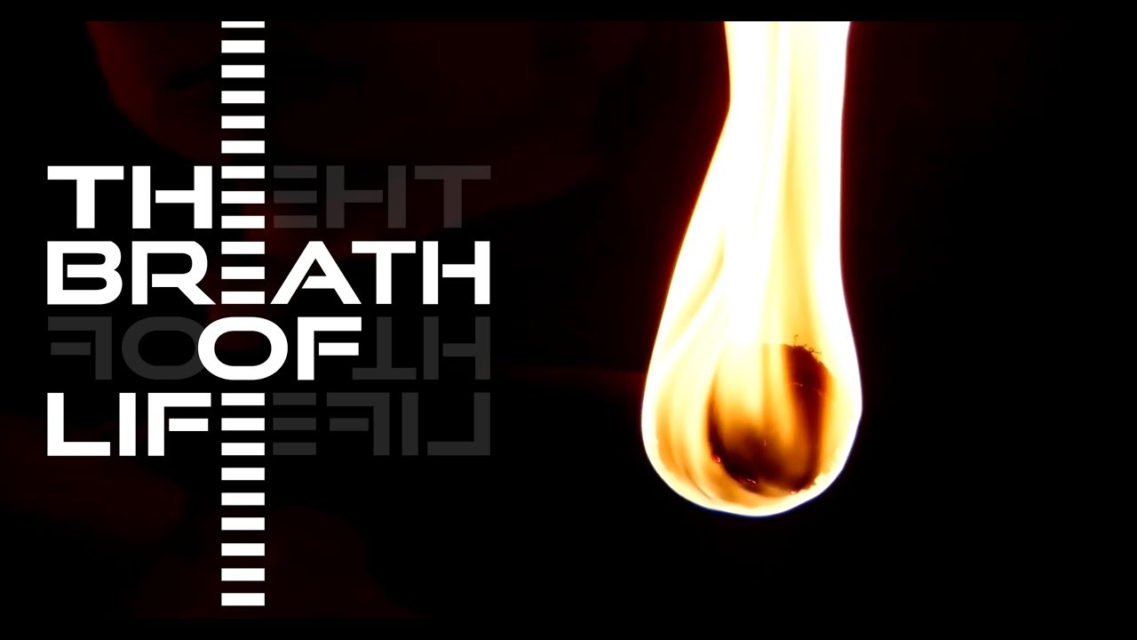 THE BREATH OF LIFE - HIDE (Official Video)
