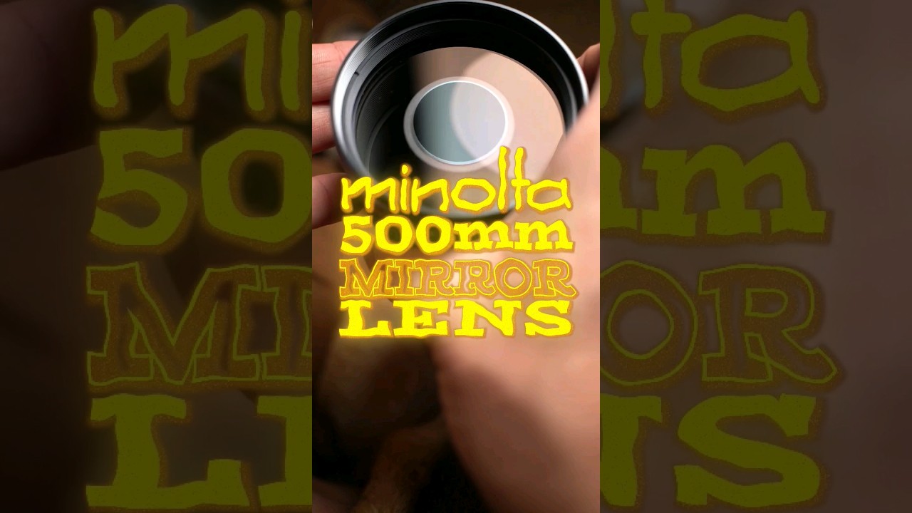 This 500mm Lens Bokeh Is WILD!&nbsp;📸 Cheap Super Telephoto is Donuts! #fyp #trending #cameralens #35mm