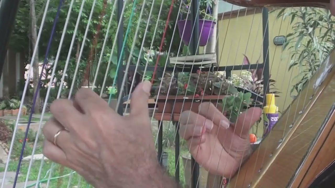 Ejecutando el Arpa Paraguaya en mi Jardin II