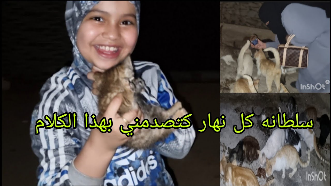 هذا الشيء اللي كاتقول سلطانه🤣 ما عمرني ما سمعتو🙆‍♂️ كل نهار كاتصدمني غير ربي يحفظ وصافي🤲