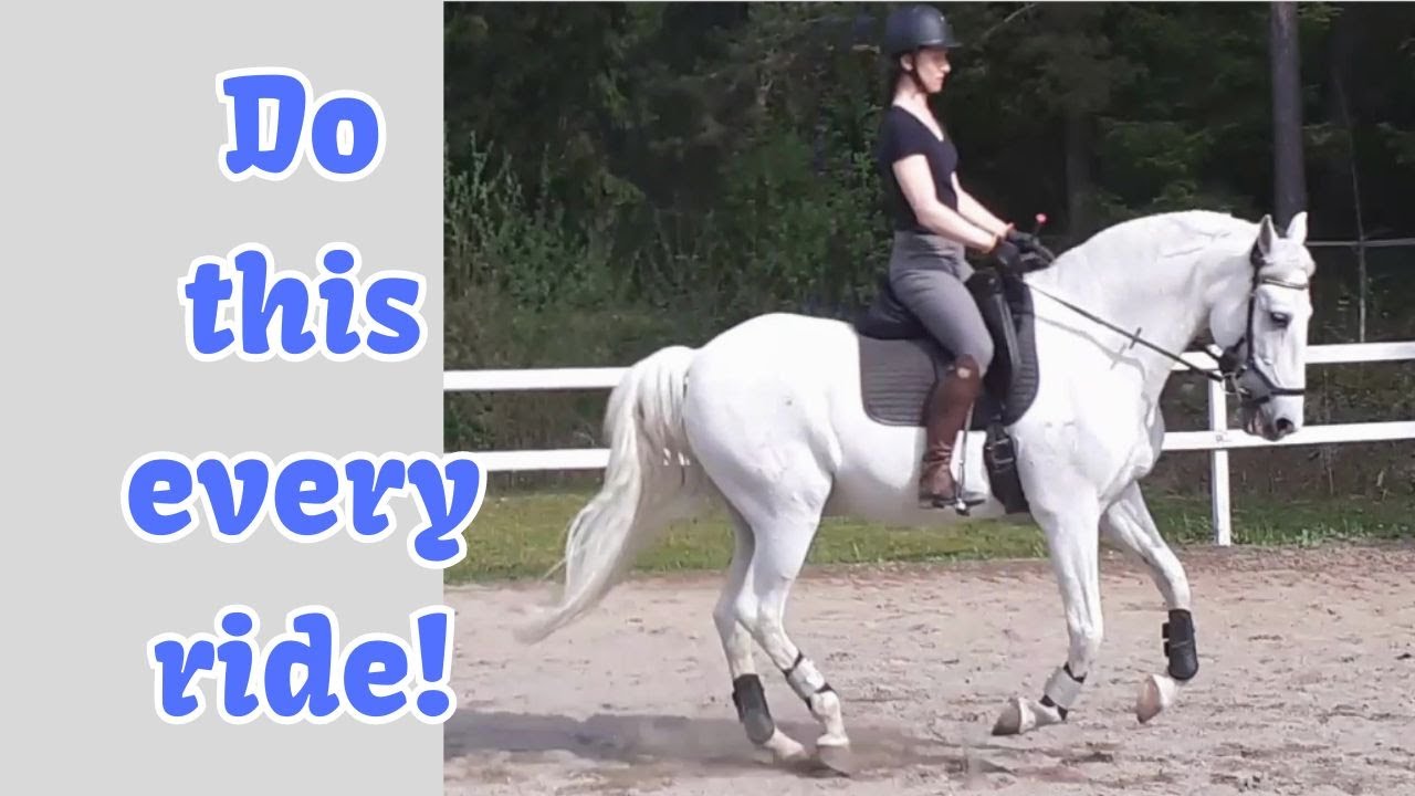 Quick riding position check (do this every time you ride!)