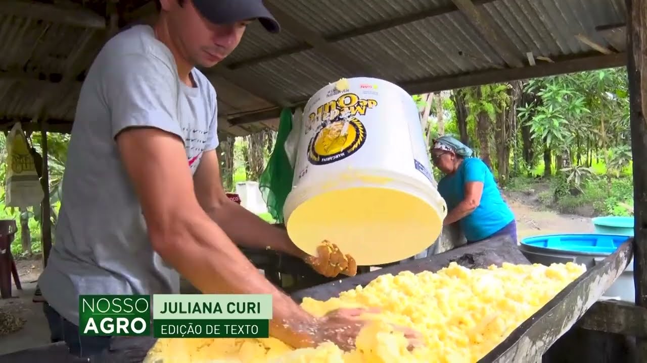 No Amapá, família conseguiu ampliar a fábrica de farinha de mandioca com orientação da ATeG do Senar