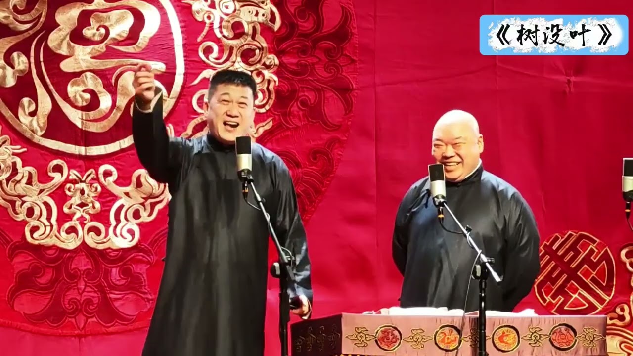 【20260325】成都晚场 张鹤伦、郎鹤炎《树没叶》#德云社 #相声