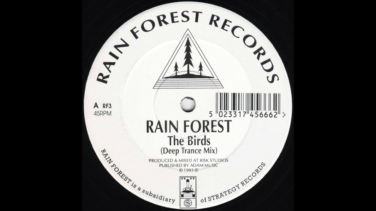 Rain Forest - The Birds (Deep Trance Mix) (33RPM +8%)