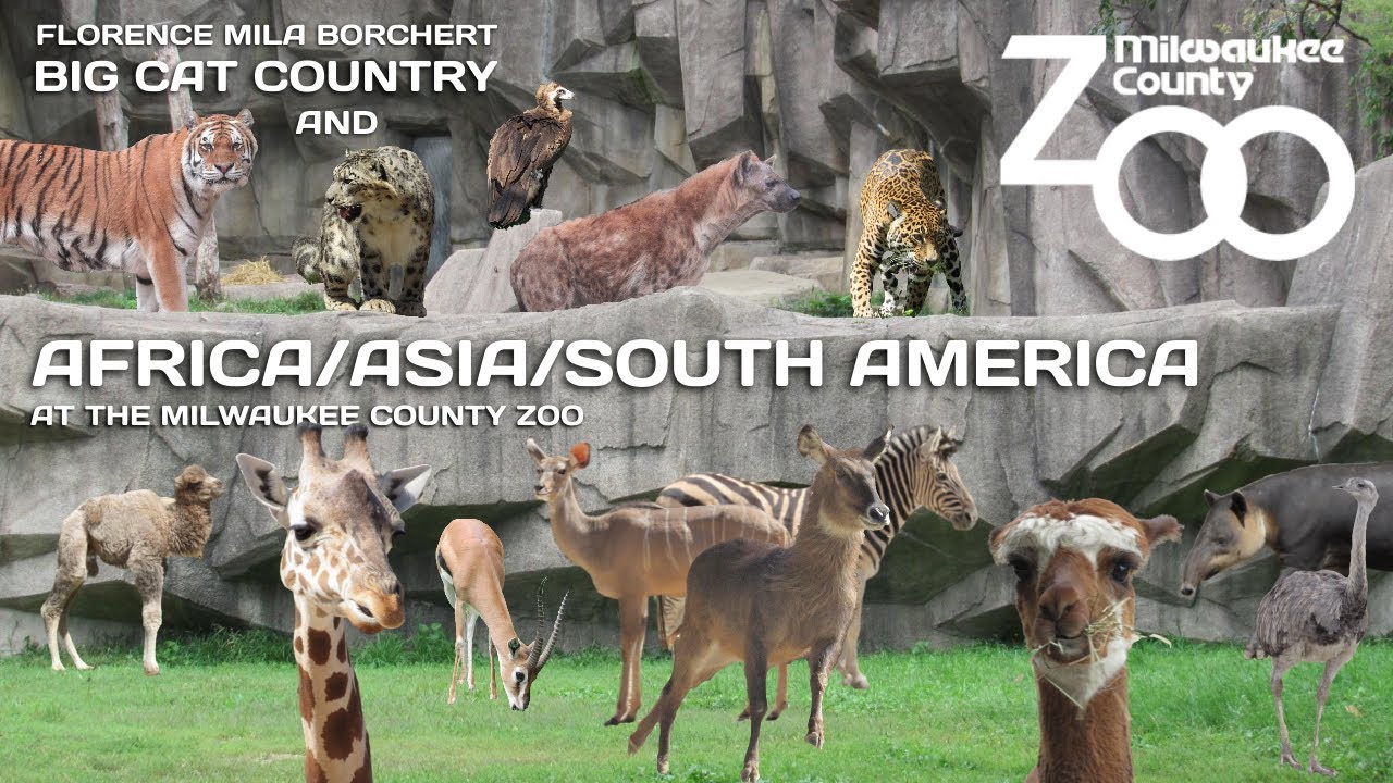 Africa/Asia/South America at the Milwaukee County Zoo | Exhibit Tours Ep. 17