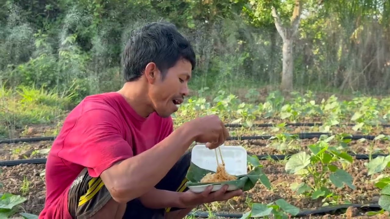 Bringing our garden to life with a variety of homegrown vegetables