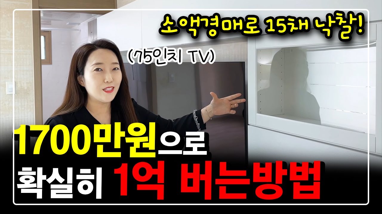 소액경매 '이렇게'하면 확실히 1억 벌어요! 바로 '이것'이 경매의 정석입니다.^^(1억벌기 프로젝트 도전)