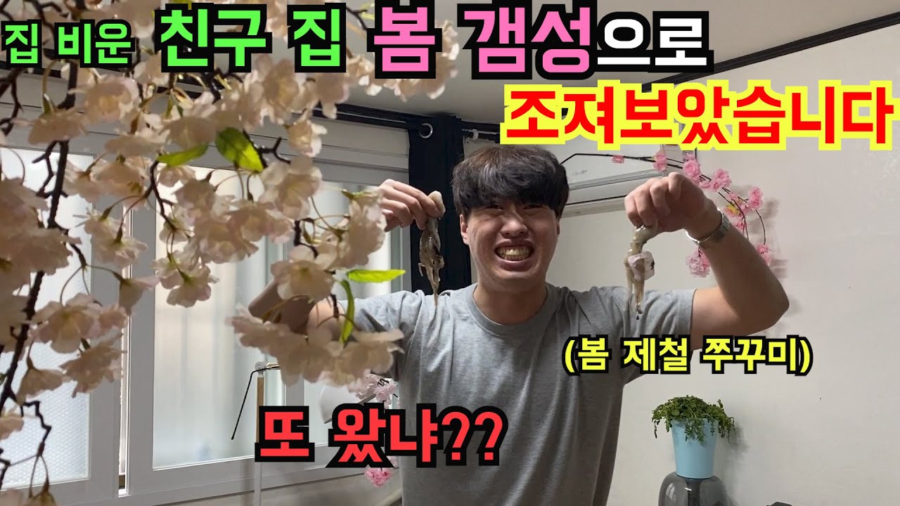 집 비운 친구 집 봄 맞이 봄 컨셉으로 만들어주기ㅋㅋㅋㅋㅋ (ft - 봄나물,쭈꾸미,벚꽃)