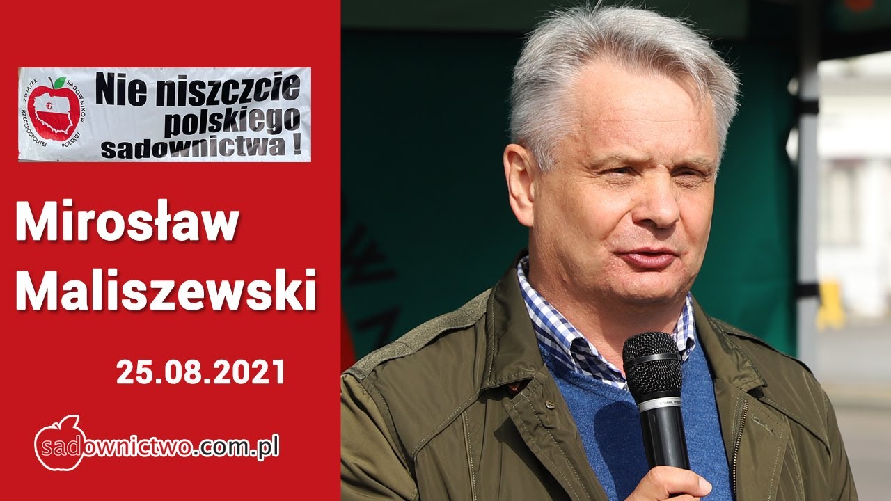 Protest sadownik&oacute;w: Maliszewski: Nie piszcie że jabłko deserowe tanie, Wstydźcie się !