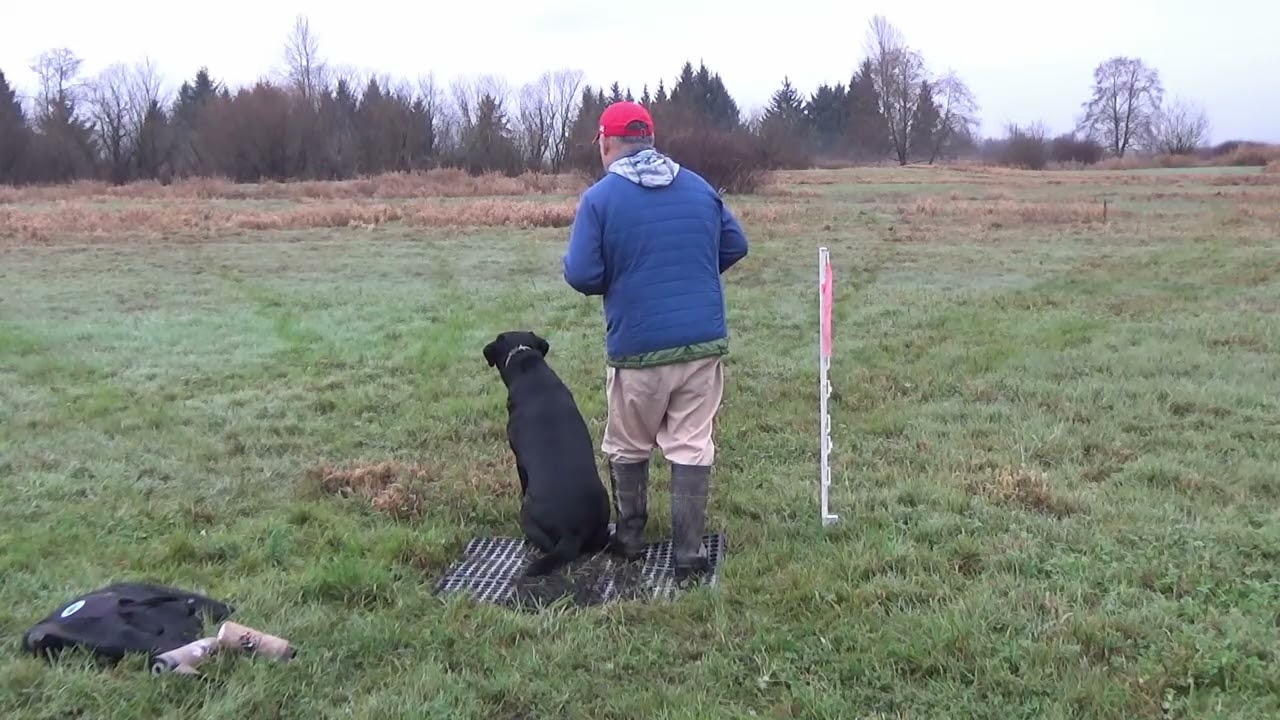 Buzzy's and Jake's Alignment Analysis - Round 2