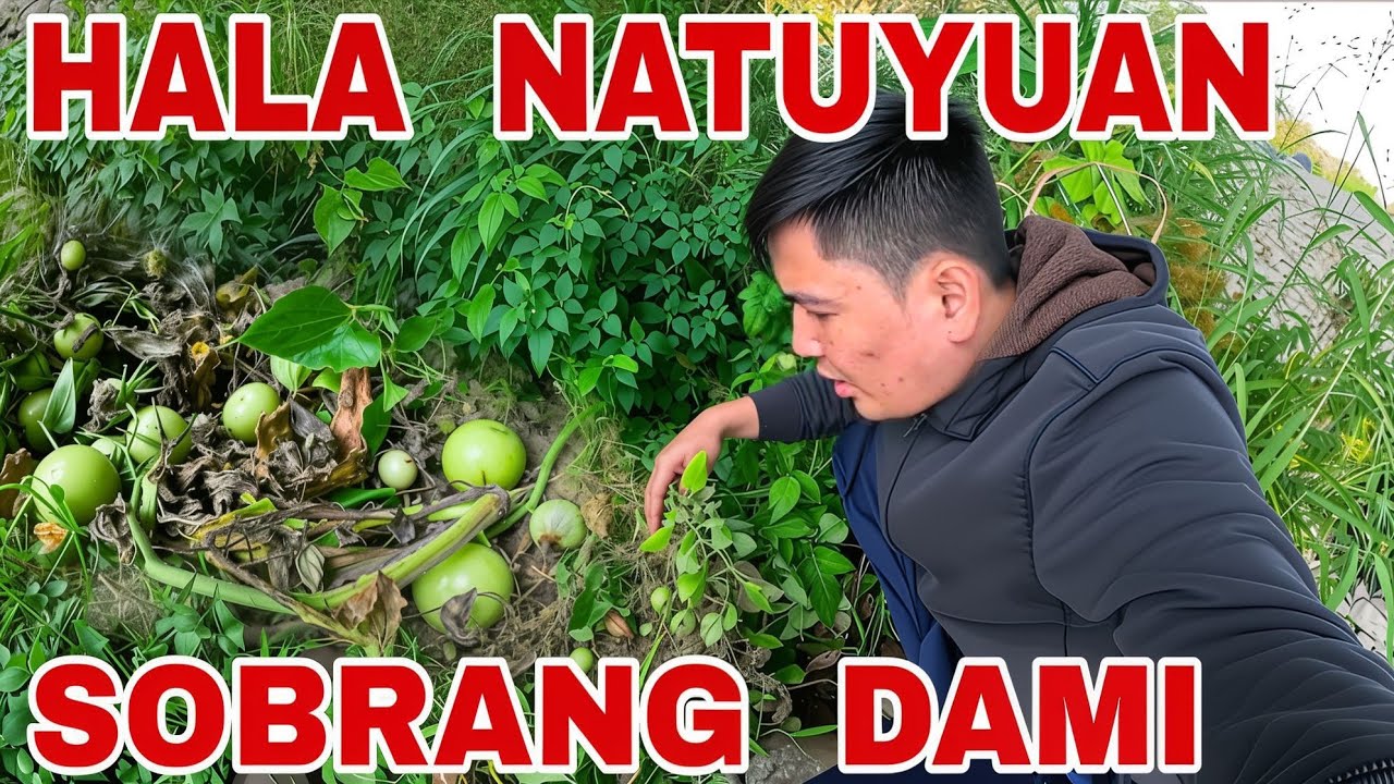 Hindi Ko Akalain Na Matagpuan Ko Ito! Sobrang Dami! 